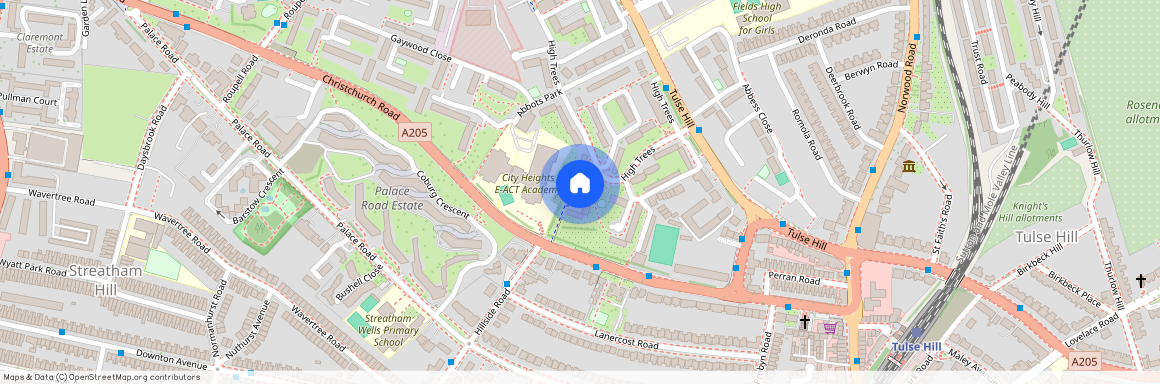 High Trees, Brixton, SW2, London