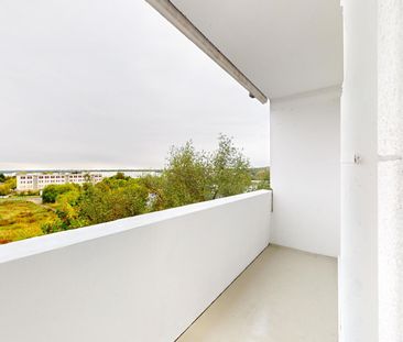 Frisch renoviert, sofort bezugsfertig mit Aussicht zum Petersberg - Photo 6