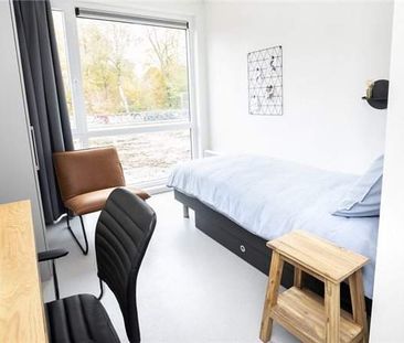 Studio at Lombokpad 6, Eindhoven - For Rent - Foto 1