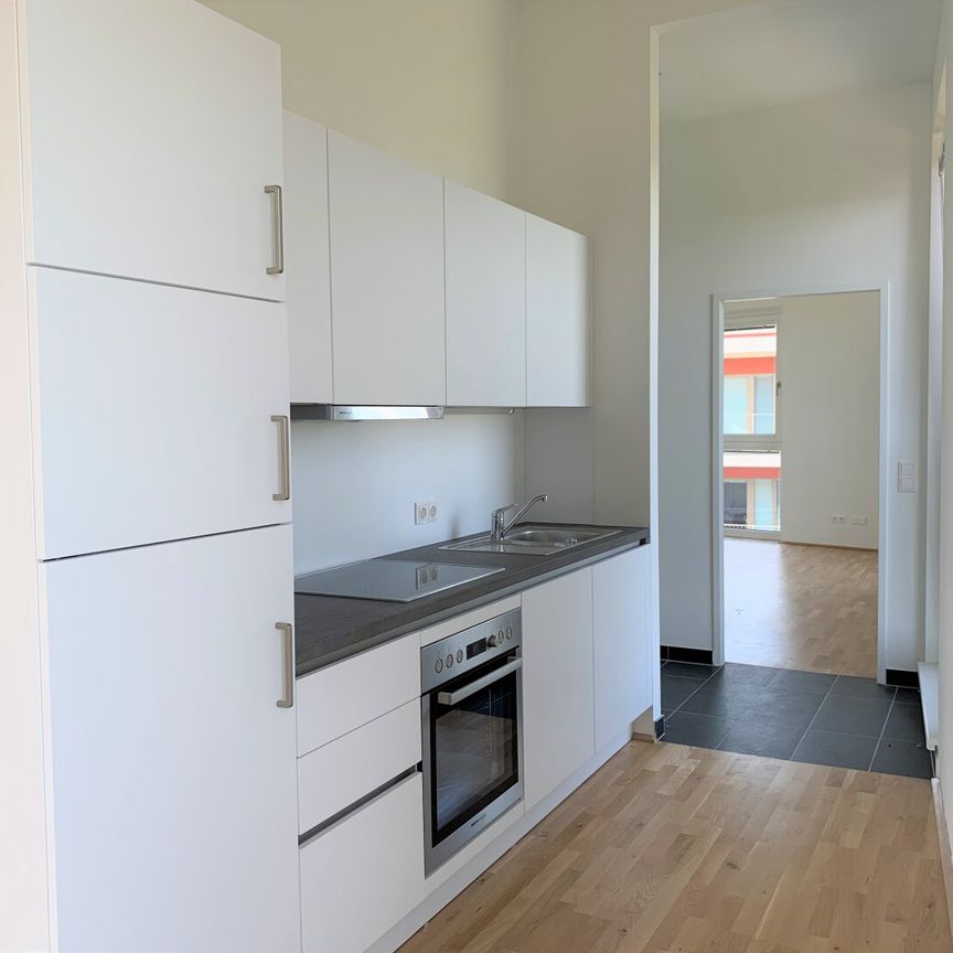 Toller unverbauter Grünblick in den Prater - Foto 1