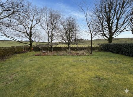 3 bedroom bungalow to rent - Photo 3