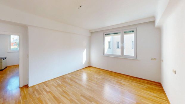 Große Mohrengasse: sonnige 3-Zimmer mit Gartennutzung - Photo 1