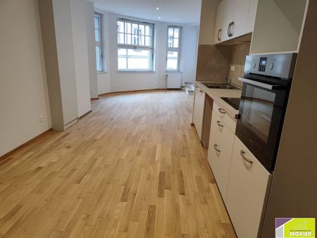 location Appartement 7 pièces à Colmar - REF 1447-IB - Photo 3