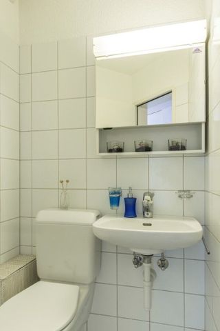 Dream home on the Reuss River - Foto 5