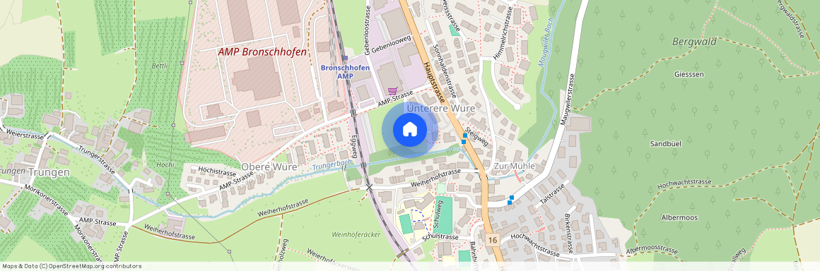 In der Würe 2, 9552 Bronschhofen