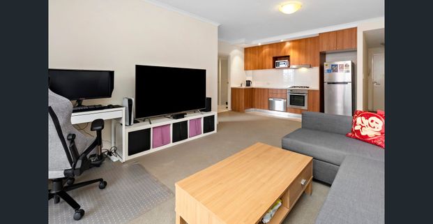 Executive apartment overlooking Mark Taylor Oval - Photo 1