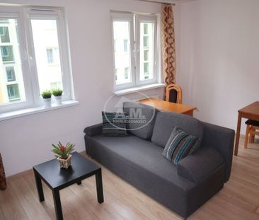 DO WPOWADZENIA, Umeblowane, Super lokalizacja - Photo 4