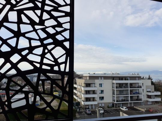 Location Appartement 3 pièces 63m² THONON LES BAINS 74200 - Photo 1