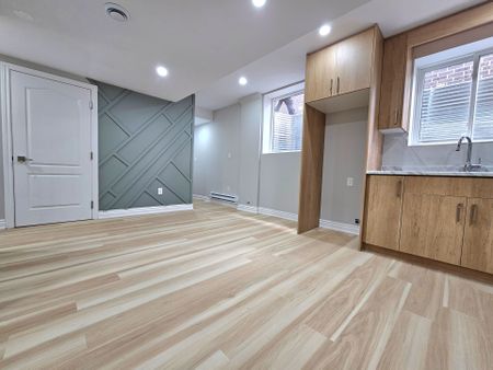 For Lease - 54 Mclaughlin Street Unit# BASEMENT, Welland, Ontario - Photo 4