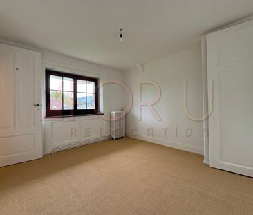 Magnifique maison individuelle rénovée avec grand jardin à Chêne-Bourg - Photo 3