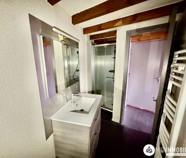 Location Appartement 1 pièce 23m² ALBI 81000 - Photo 4