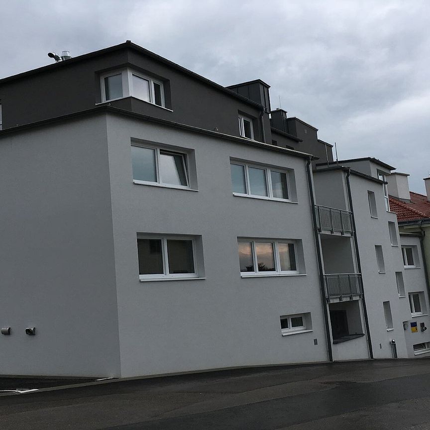SCHEIBBS XIX/1 - Photo 1