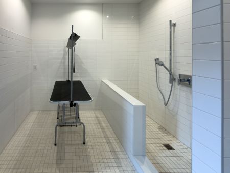 For Lease - 4010 Eglinton Avenue Unit# 1809, Toronto, Ontario - Photo 5