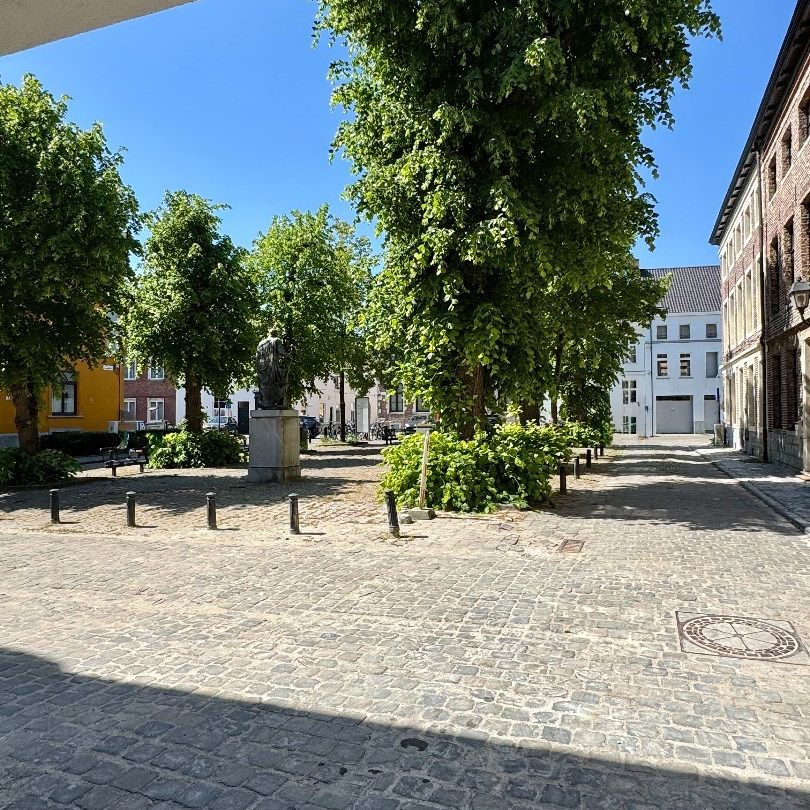Huis te huur in Gent - Foto 1