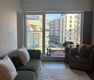 Rue Eleanor, H3C 0T5, Montréal - Photo 4