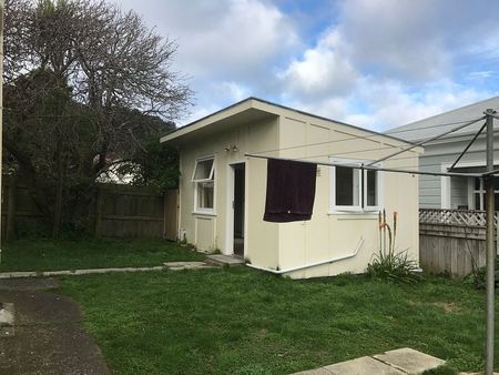 Large 1 bedroom house in Mt Vic - Photo 5