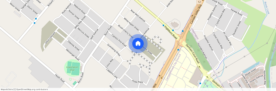 4 Capote Street, NSW 2179, Leppington