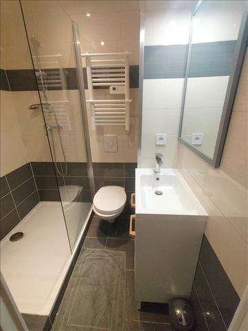 1 pièce - Meublé - 20,61 m² - 1er étage - Colocation non autorisée - Photo 3