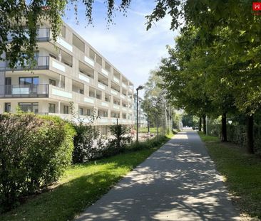 Quartier am Park: Barrierefreie Wohnung im obersten Stock mit Ausblick - Photo 6
