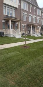 For Lease - 22 Ambereen Place, Clarington, Ontario - Photo 4