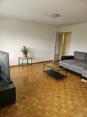 Gemütliche 2.5-Zimmerwohnung in Rudolfstetten - Photo 1