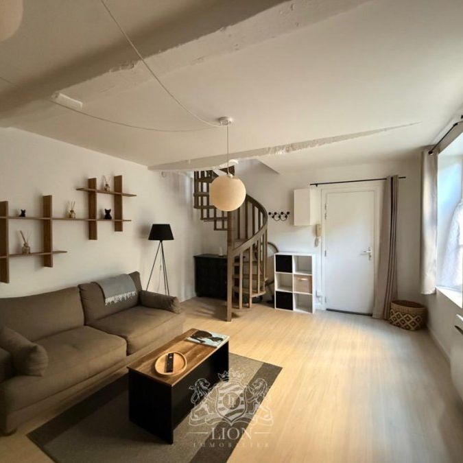 Duplex 2 pièces à Lille - Photo 1