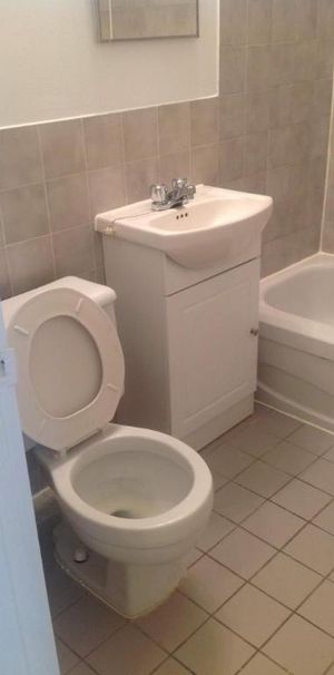 1 CH - 1 SDB - Montréal - $1,300 /mo - Photo 1