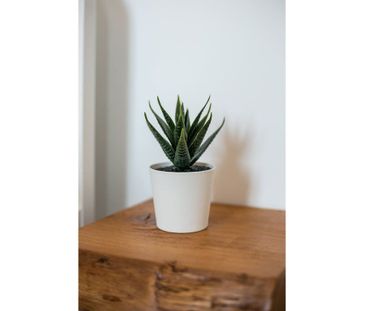 Calçada do Marquês de Abrantes, Lisbon, Lisbon 1200-163 - Photo 5