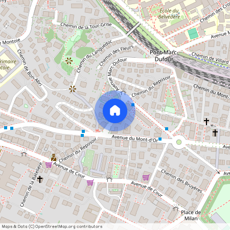 Chemin du Reposoir, 1007 Lausanne