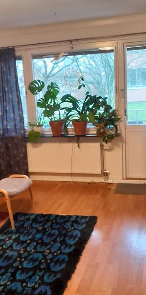 Rönnbärsvägen, Kungsängen - Foto 1