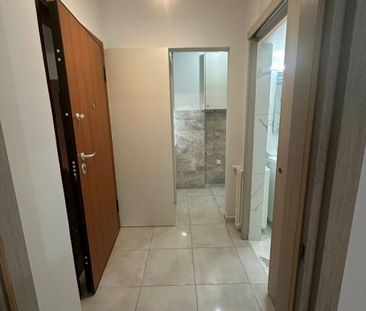 Studio/Γκαρσονιέρα για ενοικίαση Κυνοσάργους (Νέος Κόσμος) - Photo 6