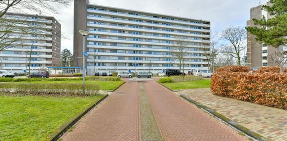 Apartment Alkmaar - Honthorstlaan - Foto 2