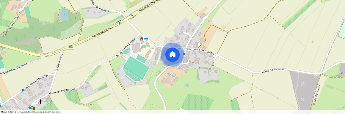 1285 Athenaz (Avusy), Route d'Athenaz 3