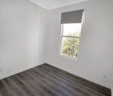 Aro Valley , Spacious 5 bedroom flat - Photo 4