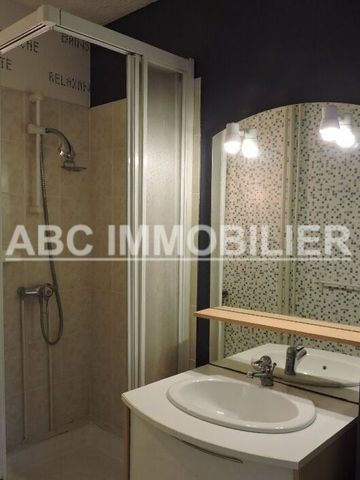 Location Appartement 1 pièce 25m² - Photo 4