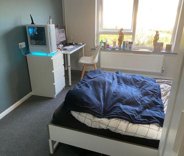 1 bedroom property to rent - Photo 5