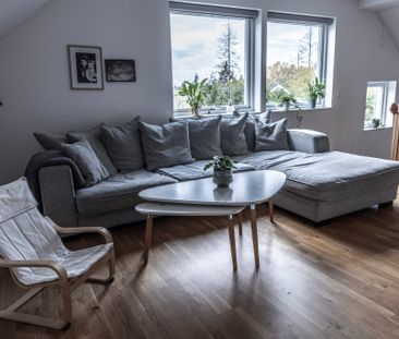 Expressvägen, Vega - Photo 5