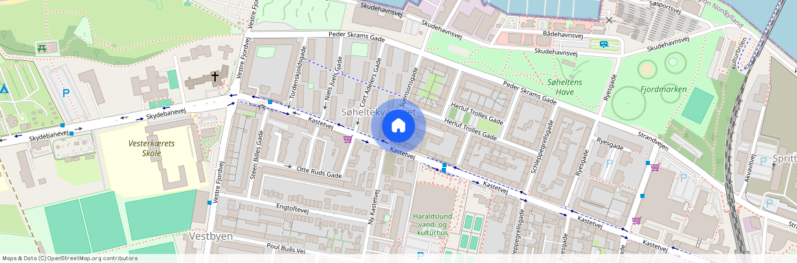 Suensonsgade 4, 1. tv., 9000 Aalborg