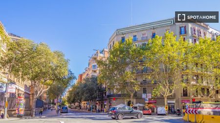 barcelona, Catalonia 08036 - Photo 3