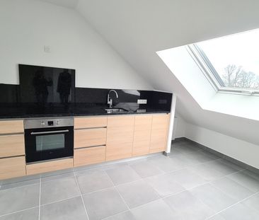 Location Appartement 1 pièce 19m² VILLEJUST 91140 - Photo 3