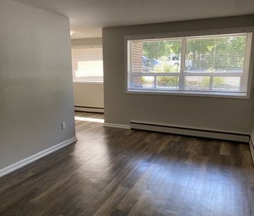 19 Queen Street, Barrie - Photo 3
