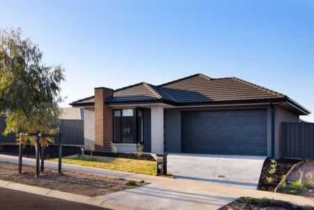 34 Campbell Road, Huntly - Photo 2