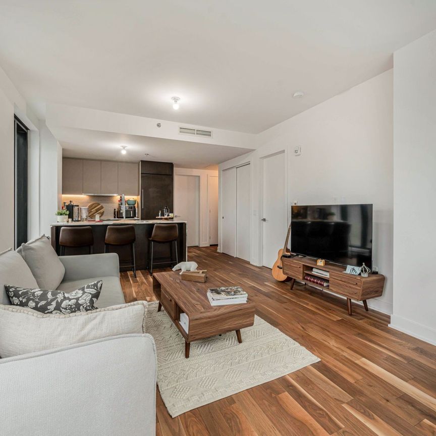 Condo for rent, Montréal (Ville-Marie) - Photo 1