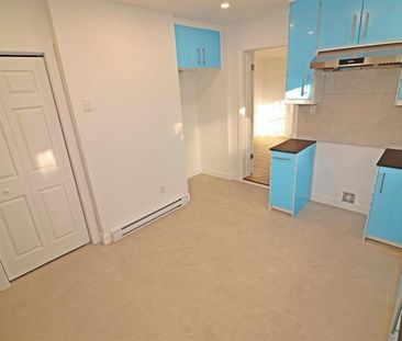 3010 Rue Sherbrooke E. - Photo 6