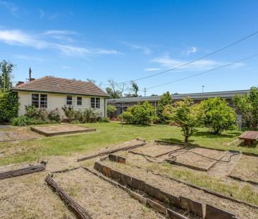 Quiet Three Bedroom Cottage - Photo 5