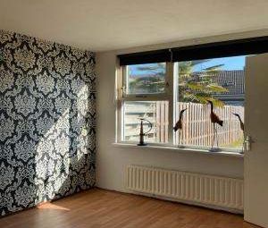 Appartement 2 Pièces en Rez-de-Chaussée avec Jardin - Boedijnhof, H... - Foto 1