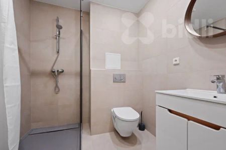 Pronájem bytu 1+kk (38 m²) Podolí - Photo 4