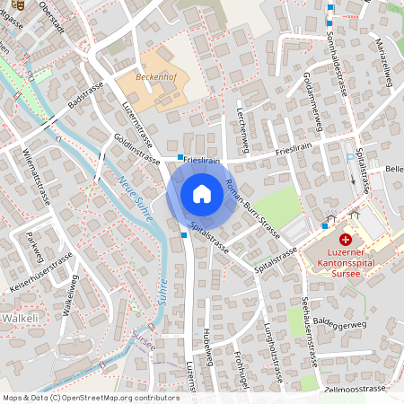 6210, Sursee, Roman-Burri-Strasse, 4