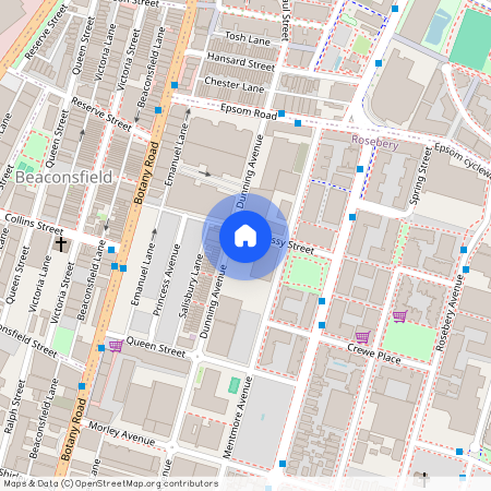 302/29 Dunning Avenue, NSW 2018, Rosebery