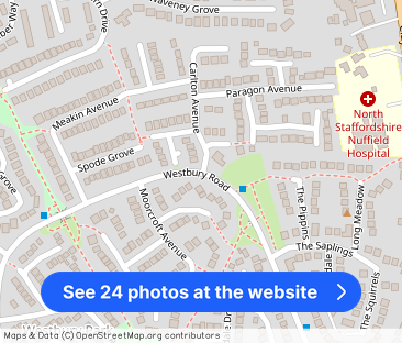 Carlton Avenue, Westbury Park, Newcastle - Photo 1